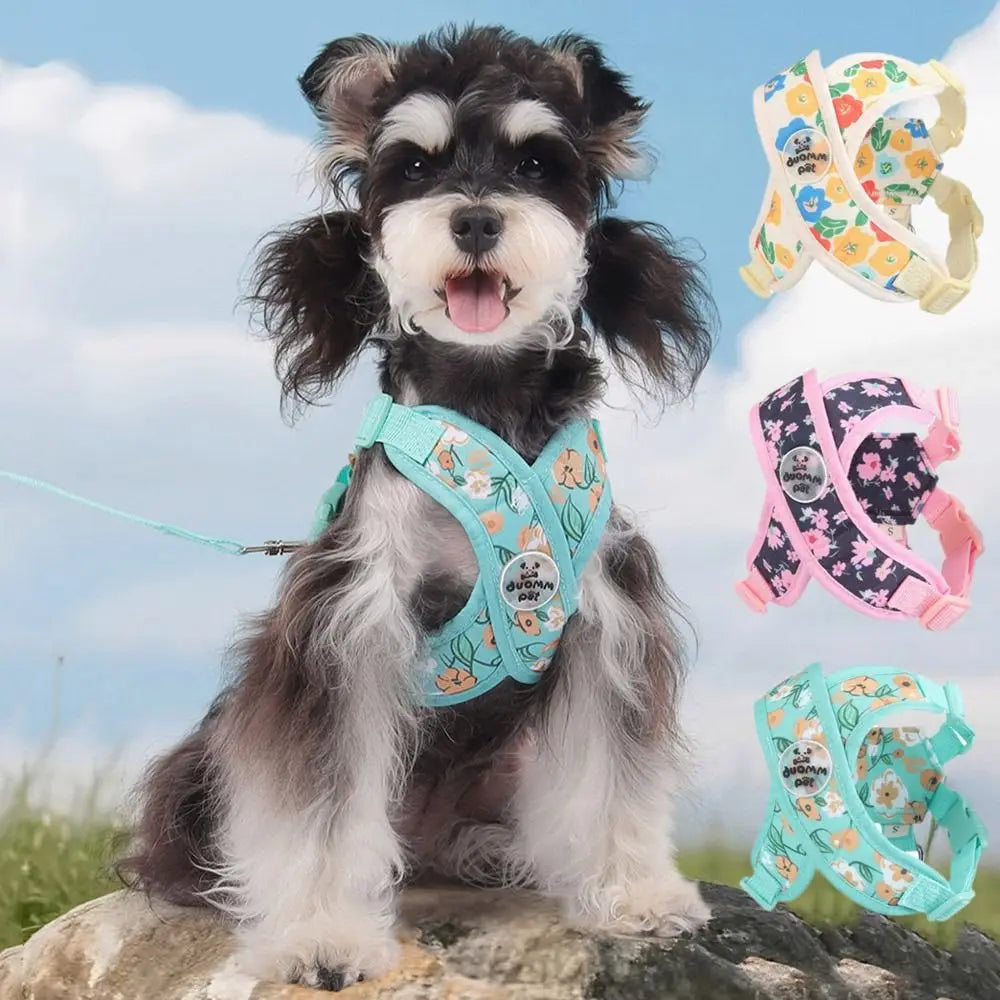 Coleira & Guia Pet Lizz Freshs