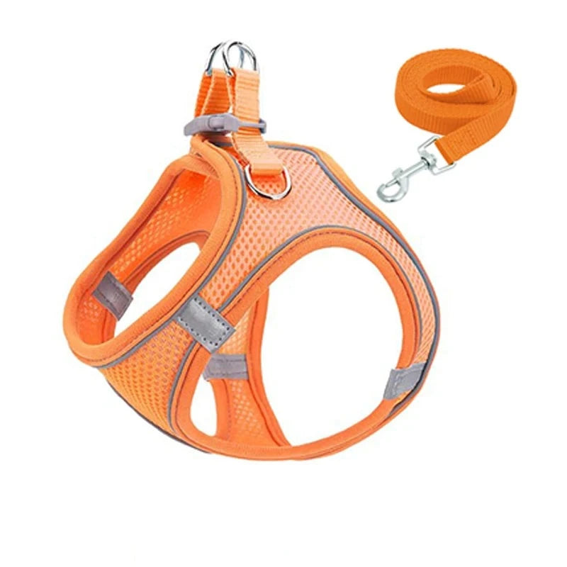 48053932654909|48053932687677|48053932720445|48053932753213|48053932785981|48053932818749