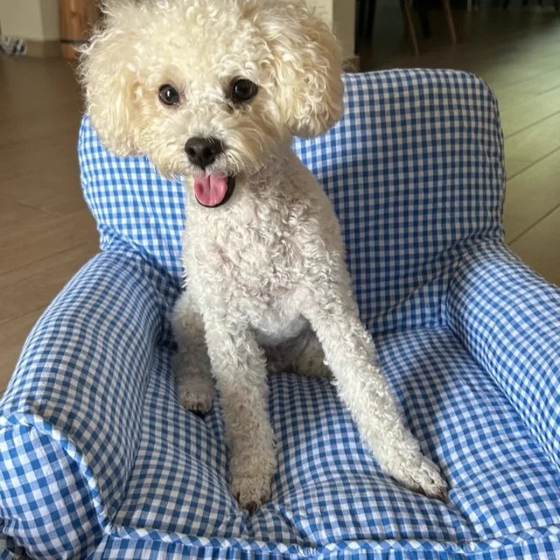 Cama Pet Petit Sofá Lux