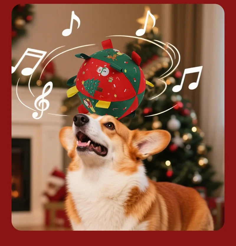 Brinquedo Bola Pet Mágica de Natal