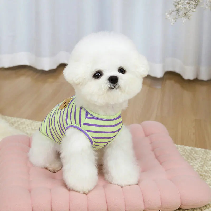 Coletinho Pet Listradinho Cithi