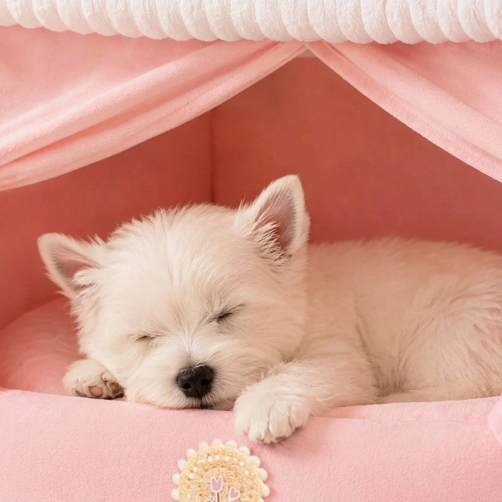 Cama Tendinha Pet Princess