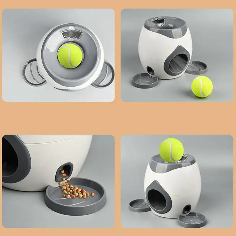 Brinquedo Interativo Pet Lançador