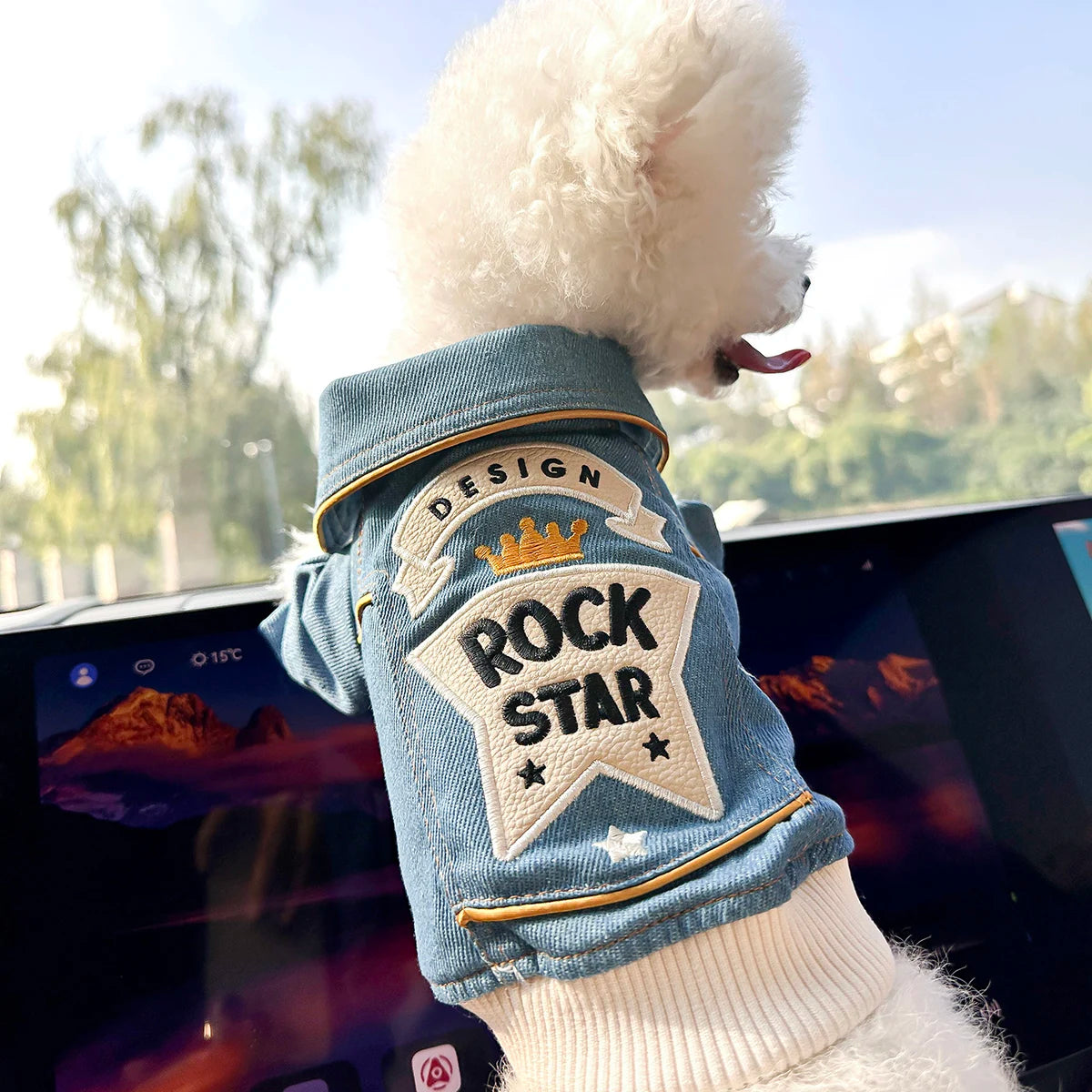 Jaqueta Jeans Pet Rock Star