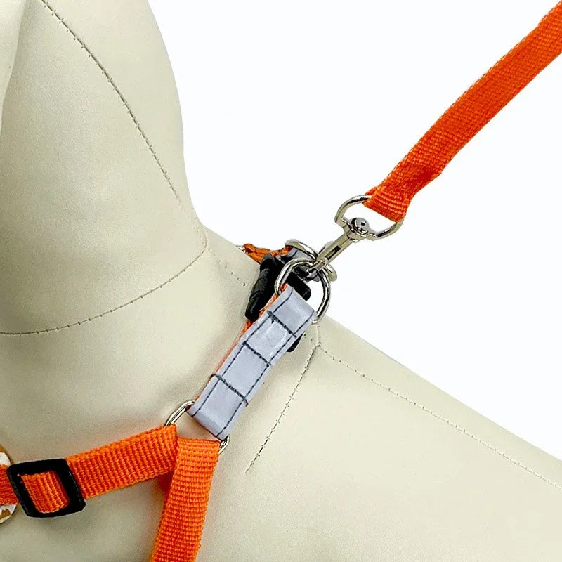 Coleira & Guia Pet Hannis