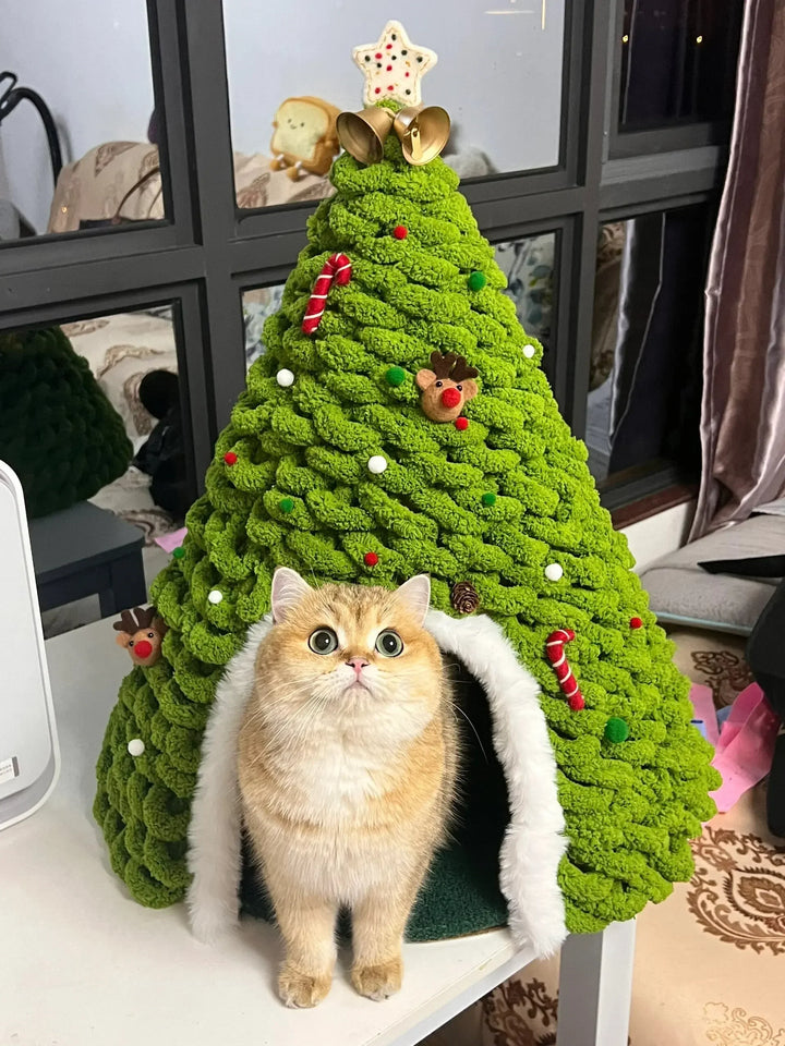 Caminha Pet Monte a Sua Árvore de Natal