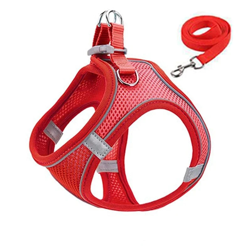 48053931671869|48053931704637|48053931737405|48053931770173|48053931802941|48053931835709