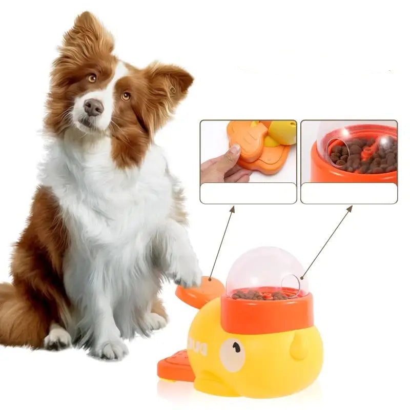 Dispensador de Comida Automático Pet Dutze