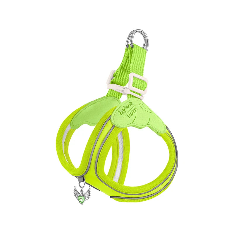 Coleira & Guia Pet Confort Charmy