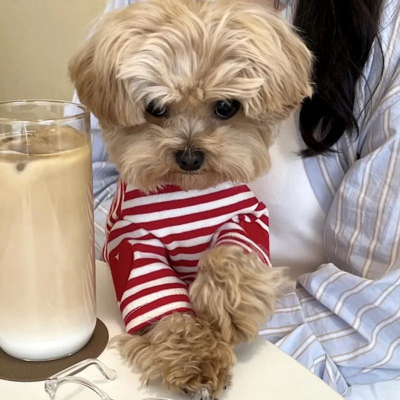 Blusinha Pet Listrada Suit