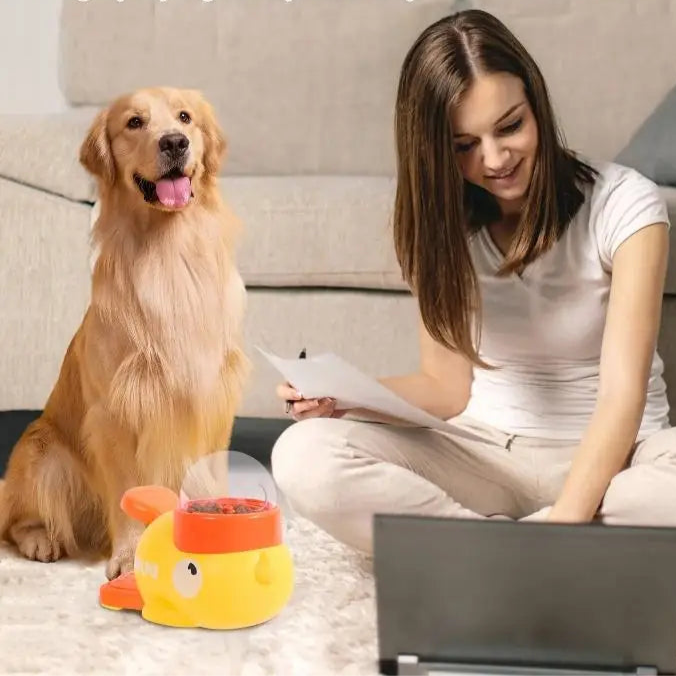 Dispensador de Comida Automático Pet Dutze