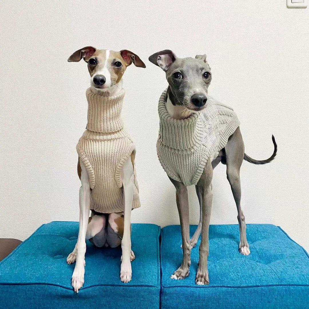 Blusa Tricot Gola Whippet Sweater