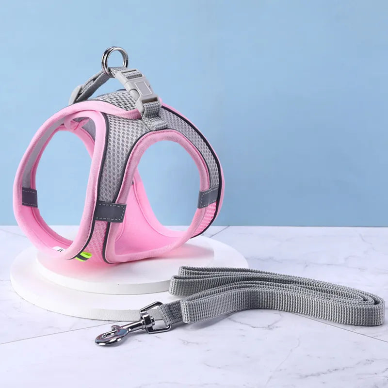 47680765428029|47680765460797|47680765493565|47680765526333|47680765559101