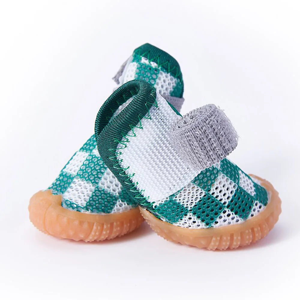 Sapatinho Pet Street Paw