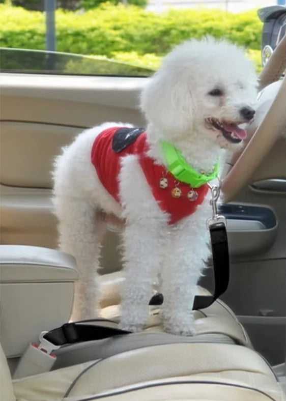 Cinto de Segurança Carro Pet Nouli