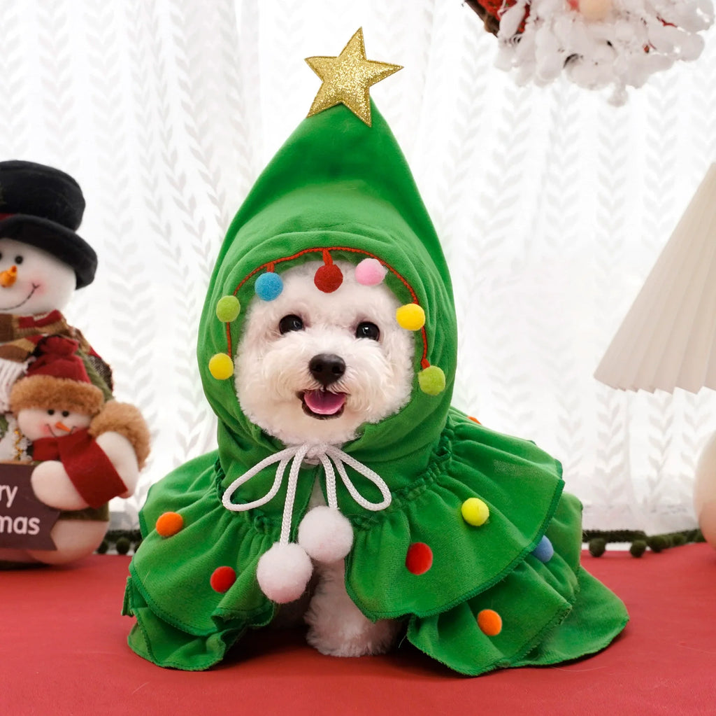 Roupinha Xale Pet Encanto de Natal