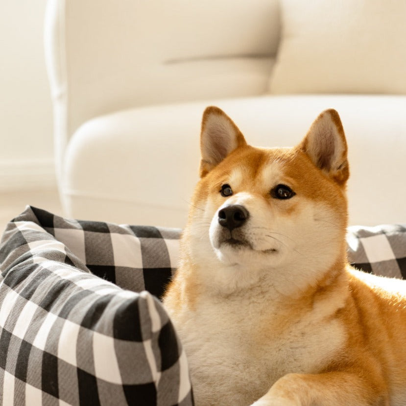 Cama Dog's Sofa