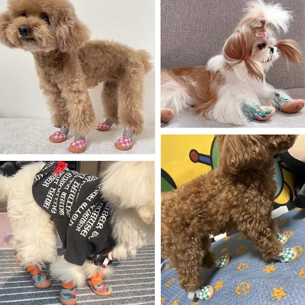 Sapatinho Pet Street Paw