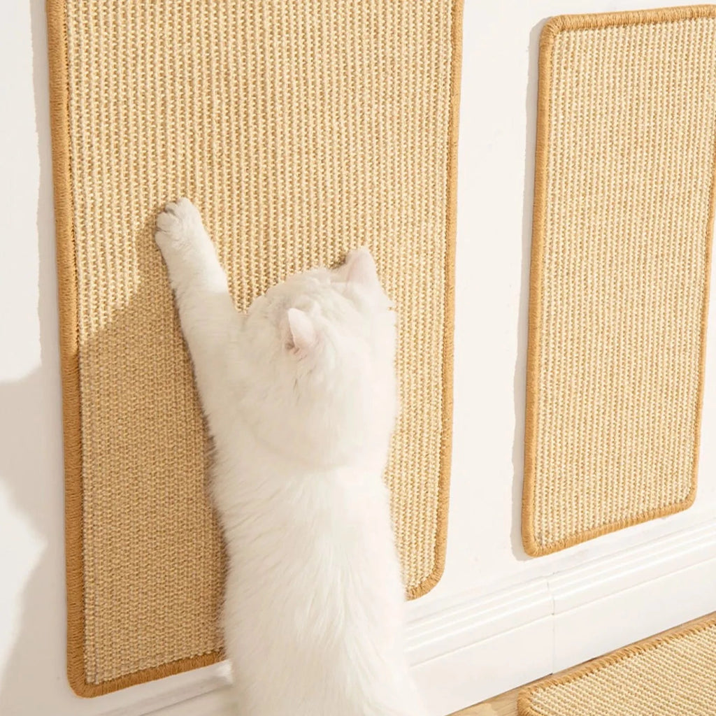 Tapete Arranhador Huy