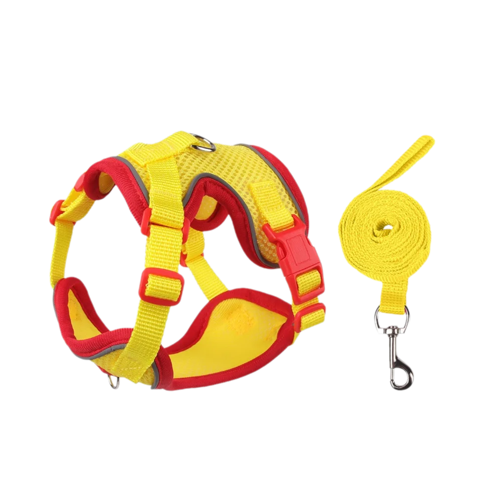 Coleira Pet & Guia Royale