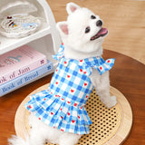 Vestidinho Arraiá Pet