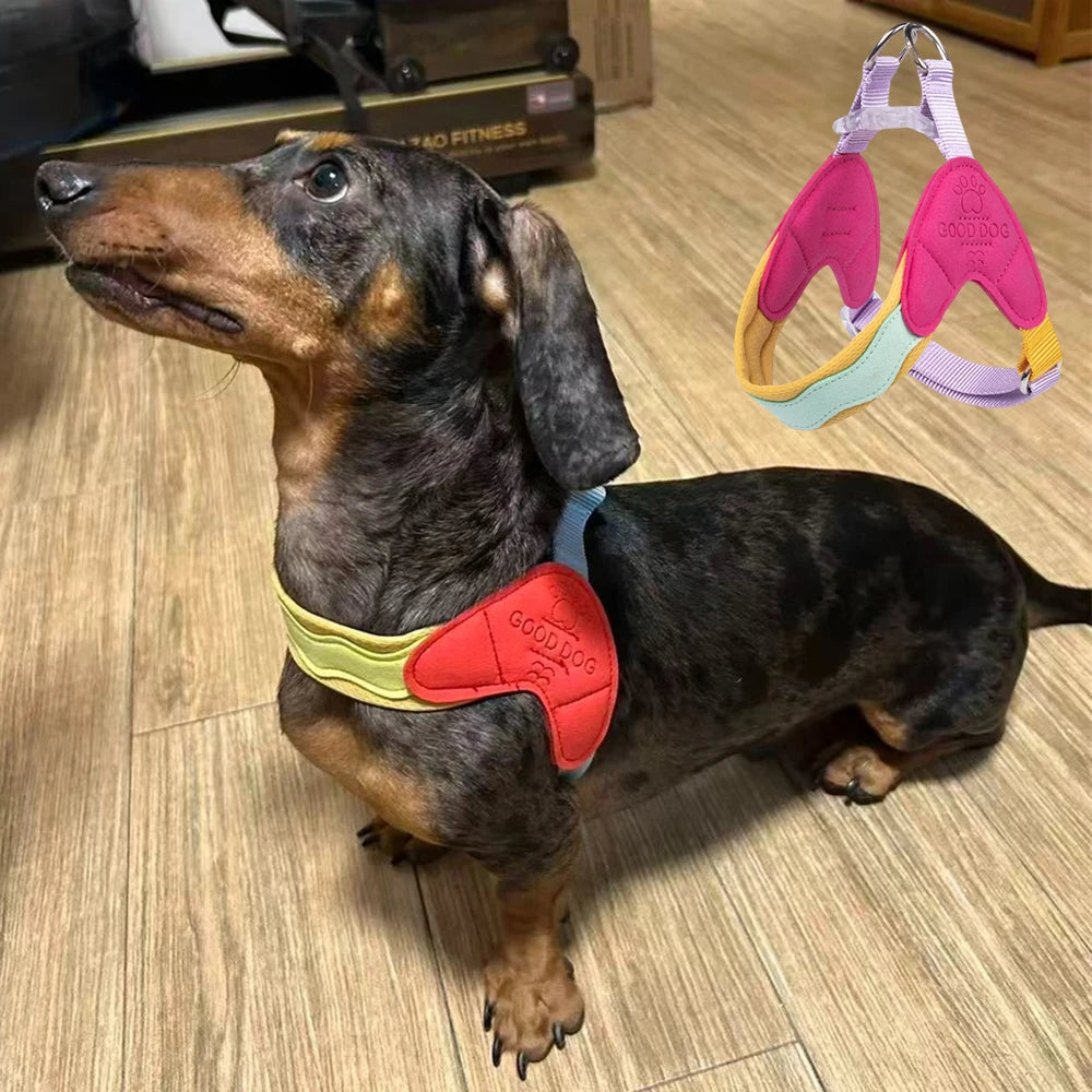 Coleira Pet Anti-puxão Pawslove