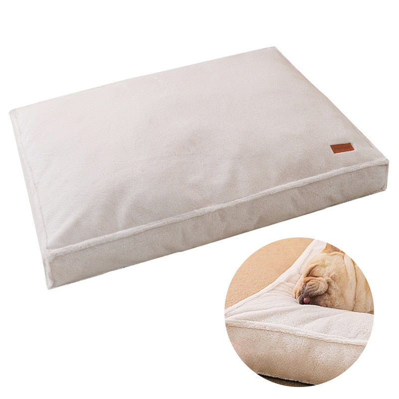 46972987408701|46972987474237|46972987507005|46972987539773