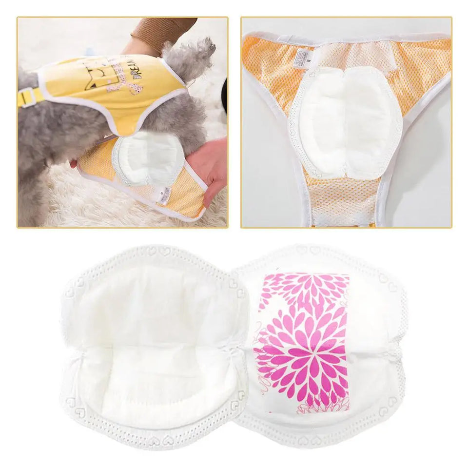 Absorvente para Fraldinhas Pet Femme - 20 ou 100 peças
