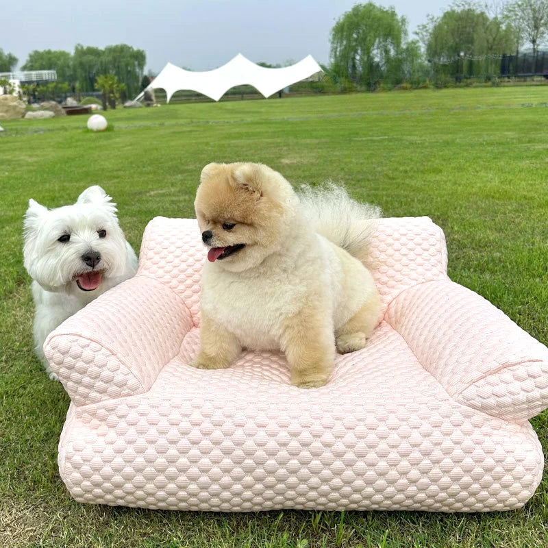 Cama Sofá Maison Pet