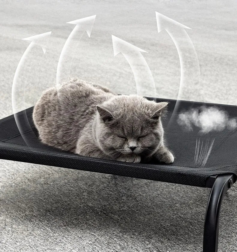 Cama Pet Elevada FreshUp