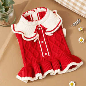 Vestido Pet Encanto