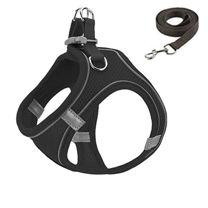 48053931868477|48053931901245|48053931934013|48053931966781|48053931999549|48053932032317