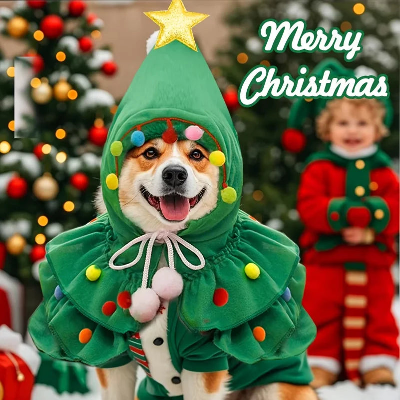Roupinha Xale Pet Encanto de Natal