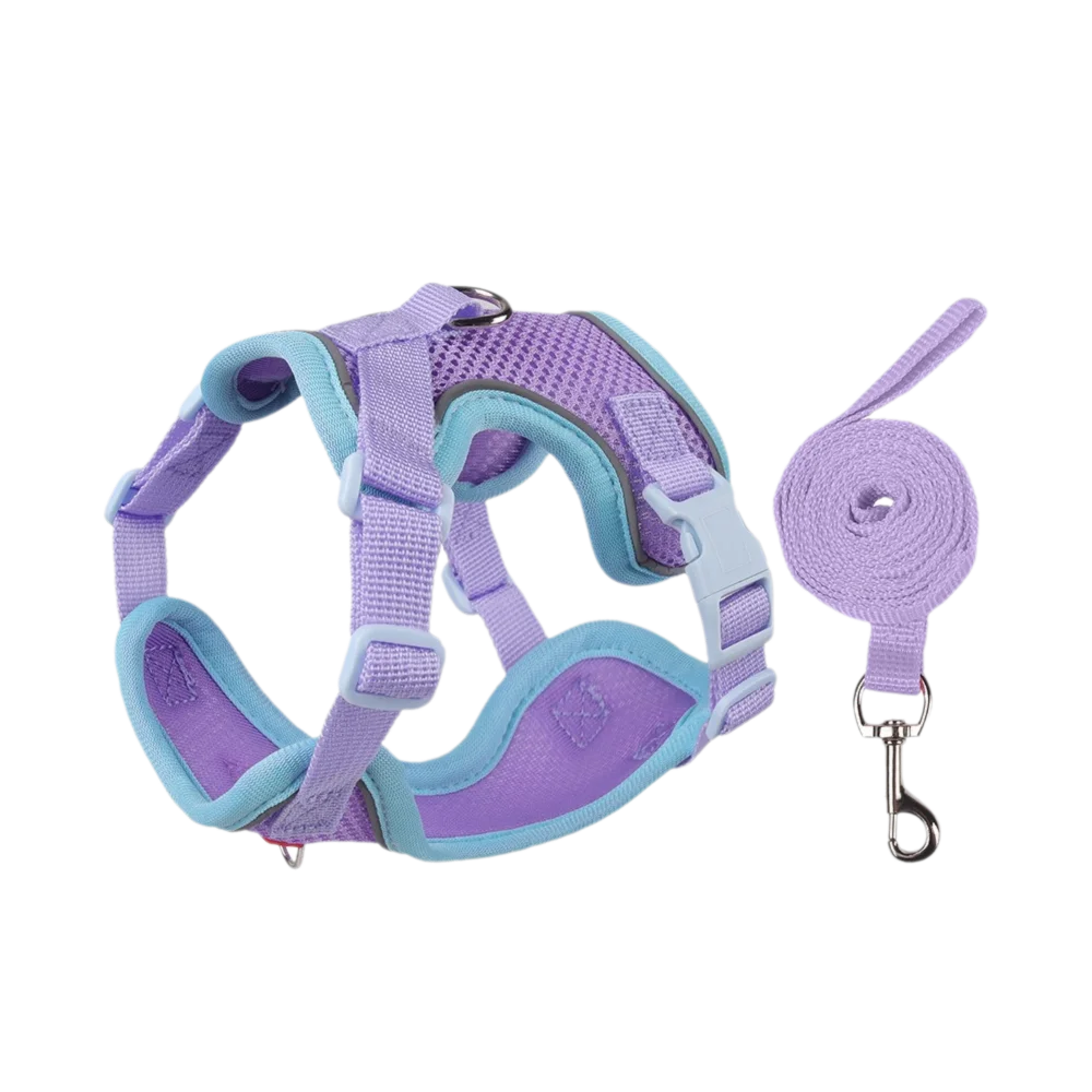 Coleira Pet & Guia Royale