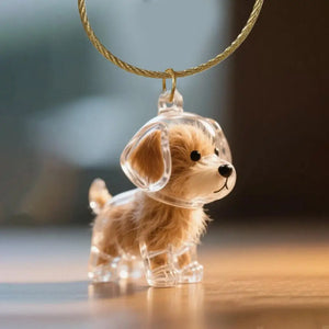 Chaveiro Colecionar Pelos Pet Memories