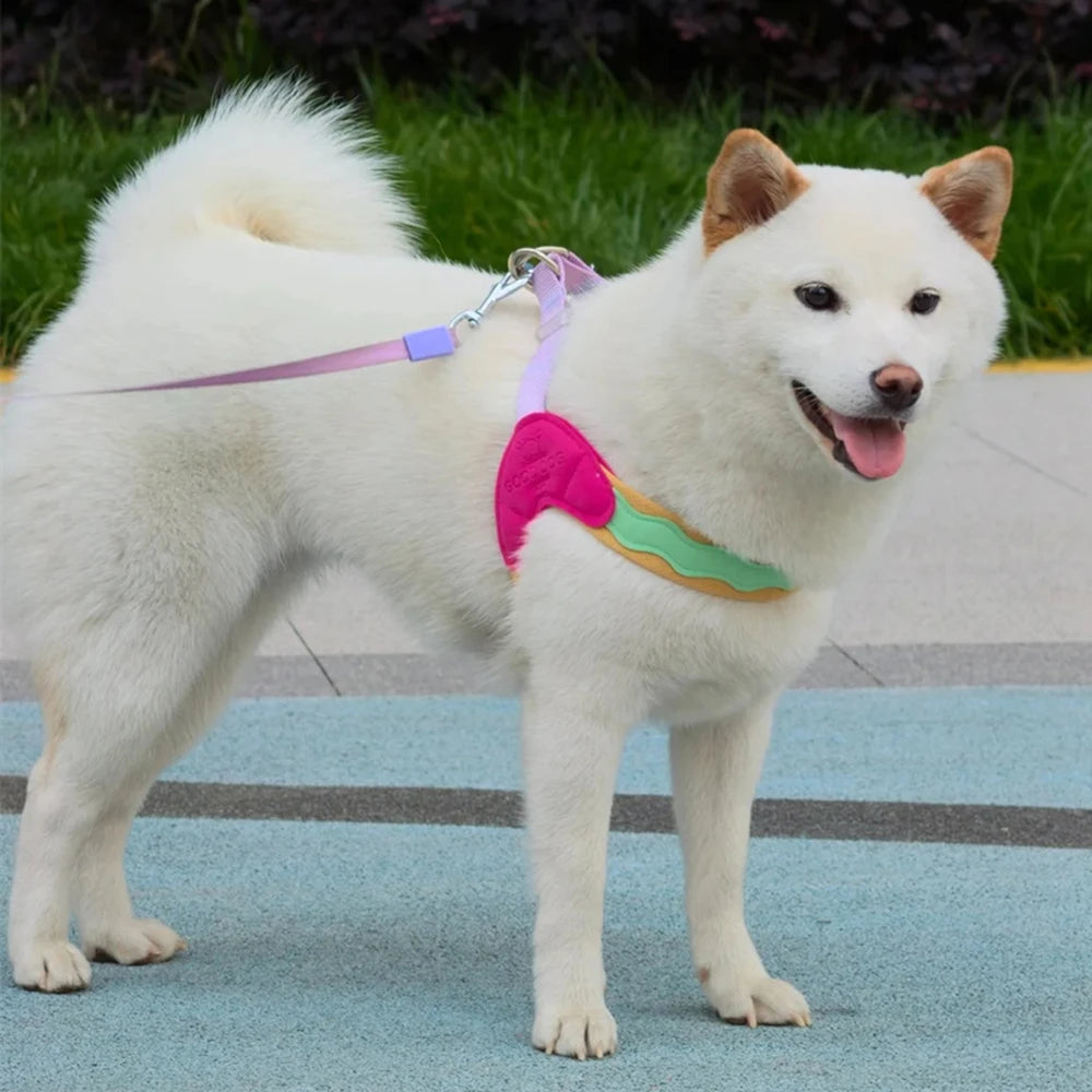 Coleira Pet Anti-puxão Pawslove