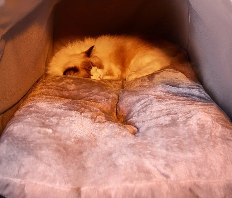 Cama Pet Toquinha Fofu