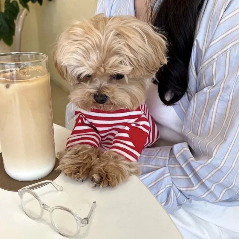 Blusinha Pet Listrada Suit