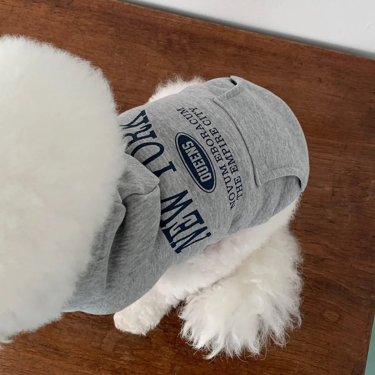 Moletom Pet New York