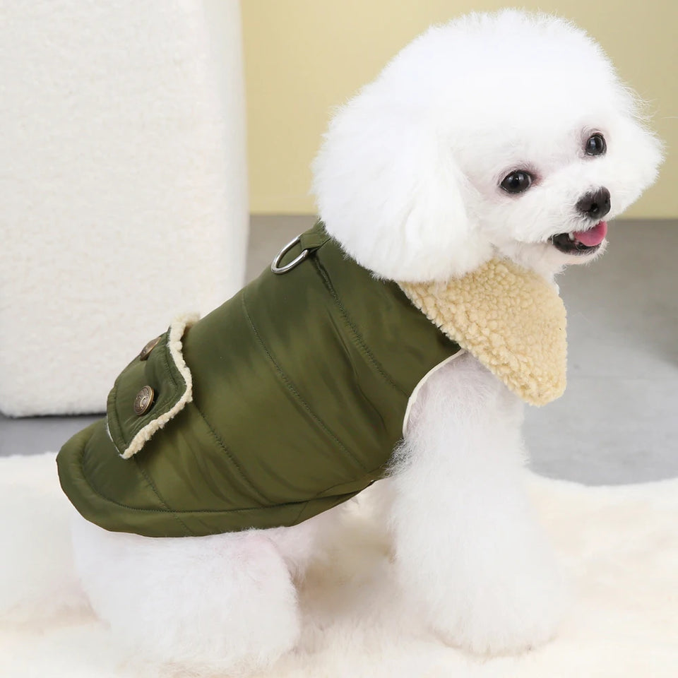 Jaqueta Pet Whest