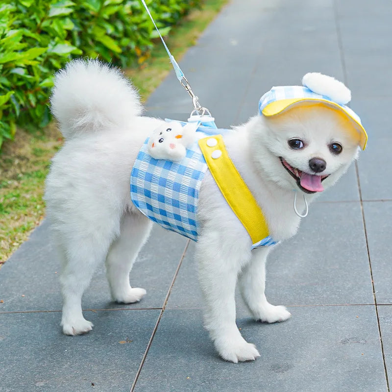 Coleira & Guia + Chapeuzinho Pet Bubble Coelho