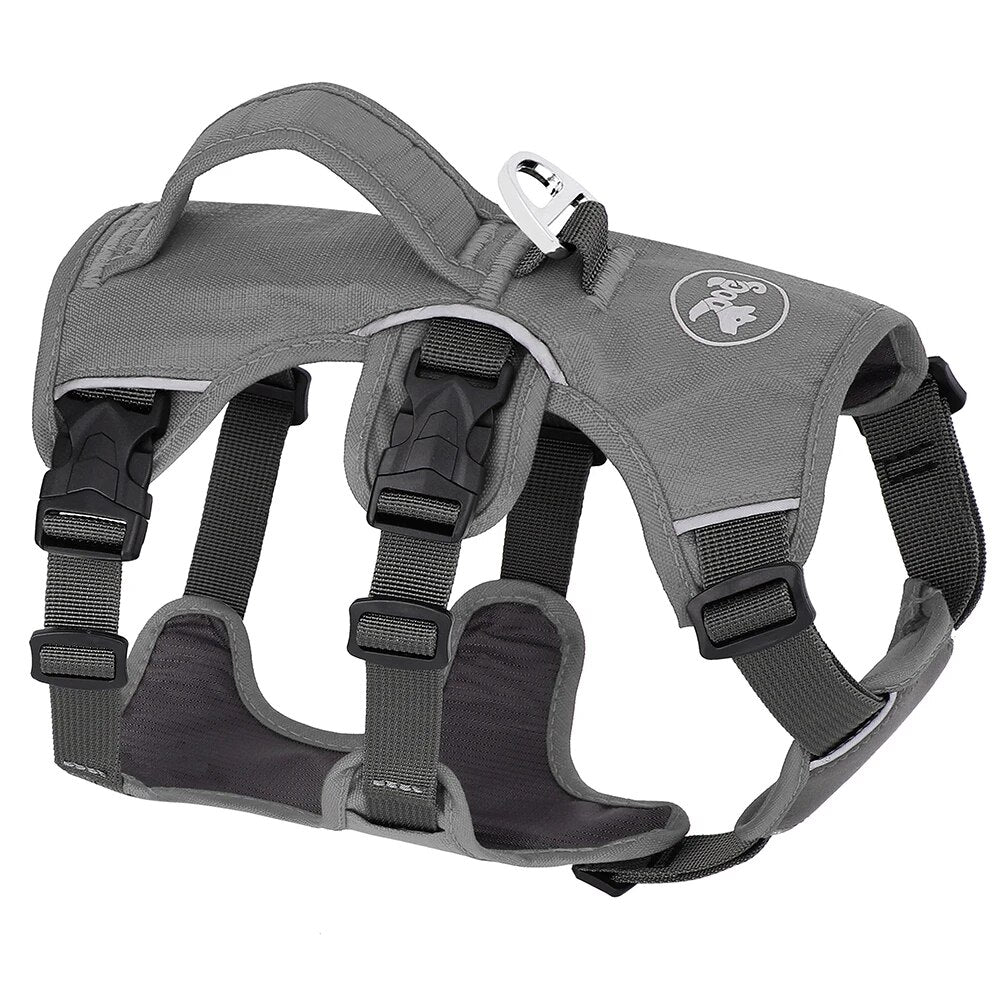 47200222708029|47200222740797|47200222773565|47200222806333|47200222839101