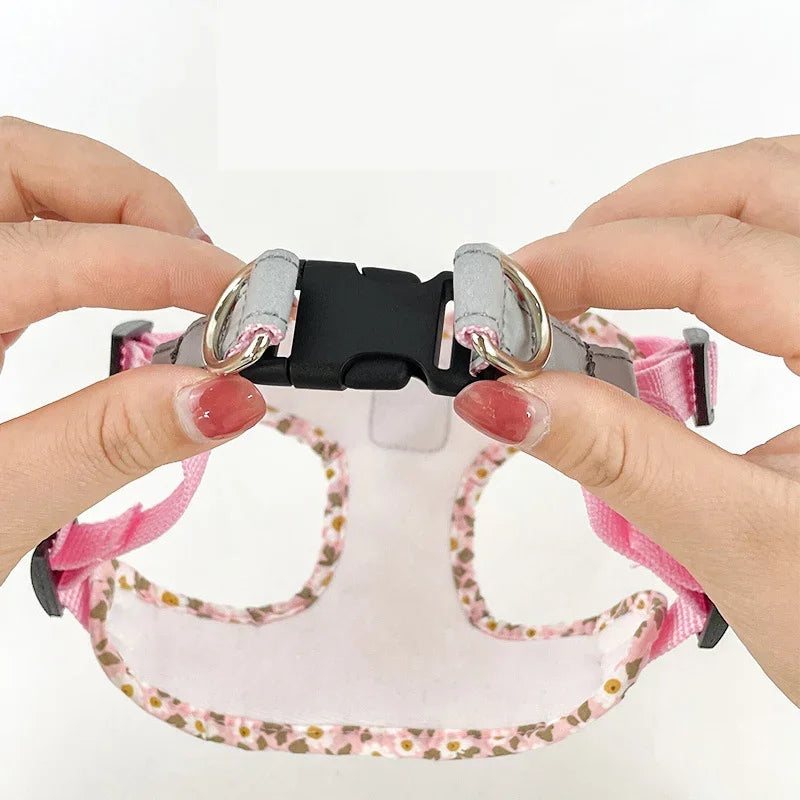 Coleira & Guia Pet Hannis