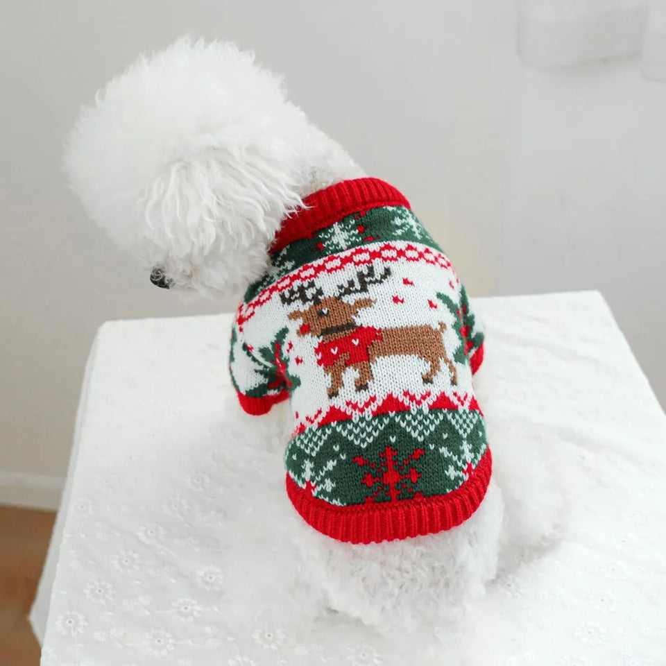 Suéter Tricot Pet Rena Natalina