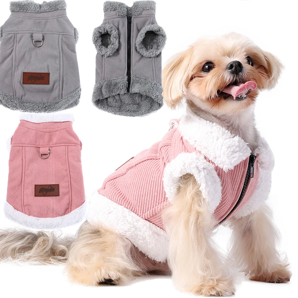 Colete Pet Aulove
