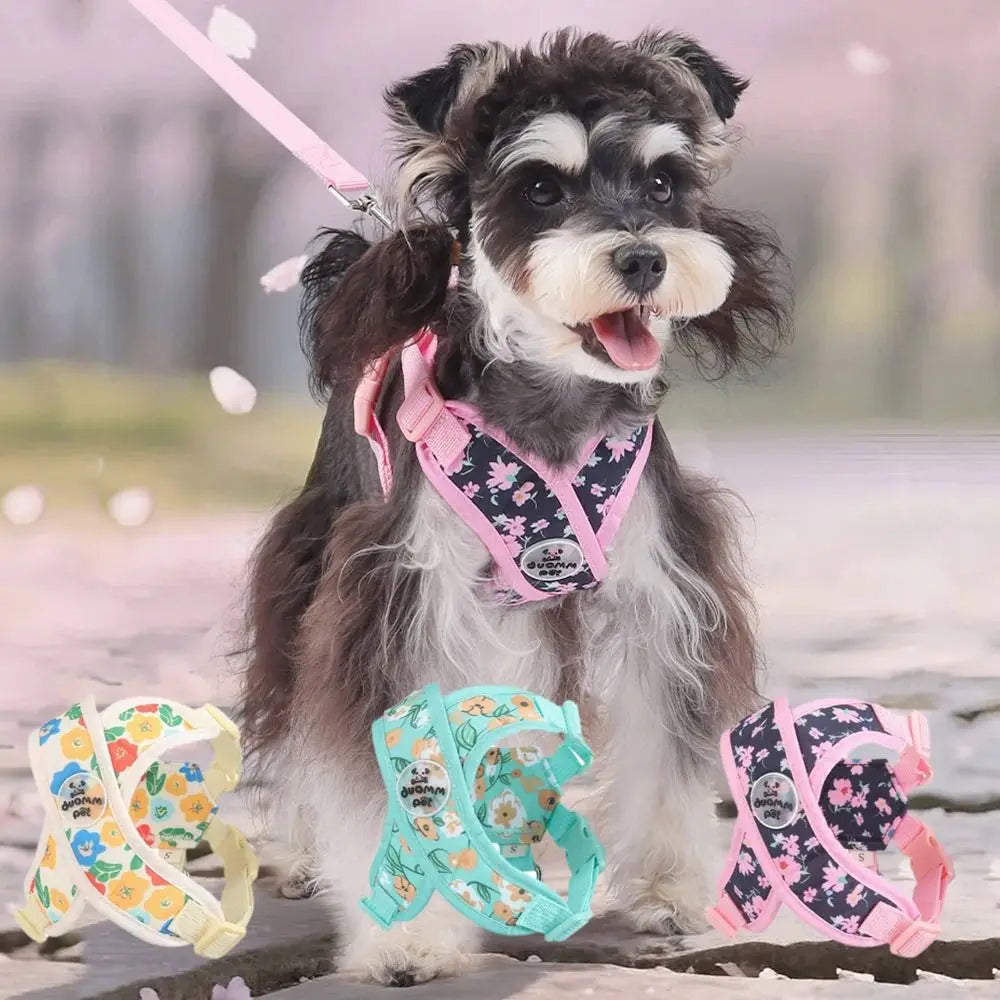 Coleira & Guia Pet Lizz Freshs