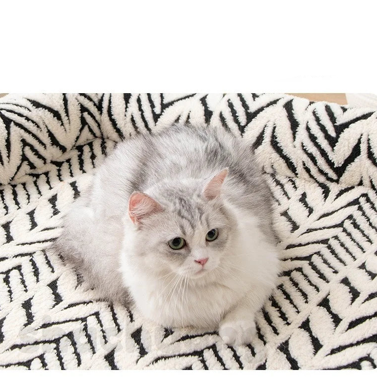 Caminha Pet Sofazinho