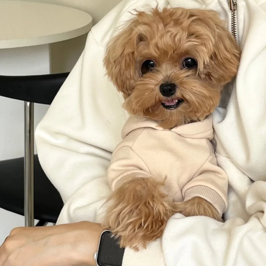 Moletom Pet New York