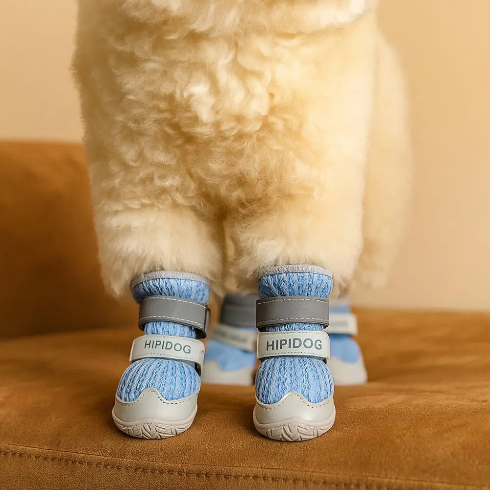 Sapatinho Flexível Antiderrapante Pet Olix