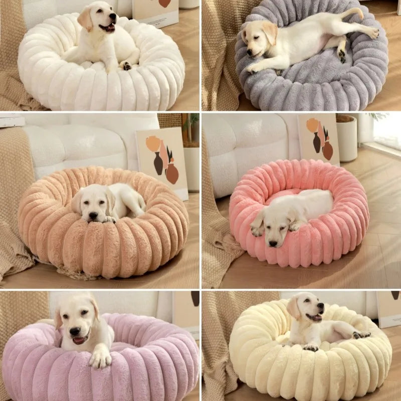 Puff Pet Colmeia
